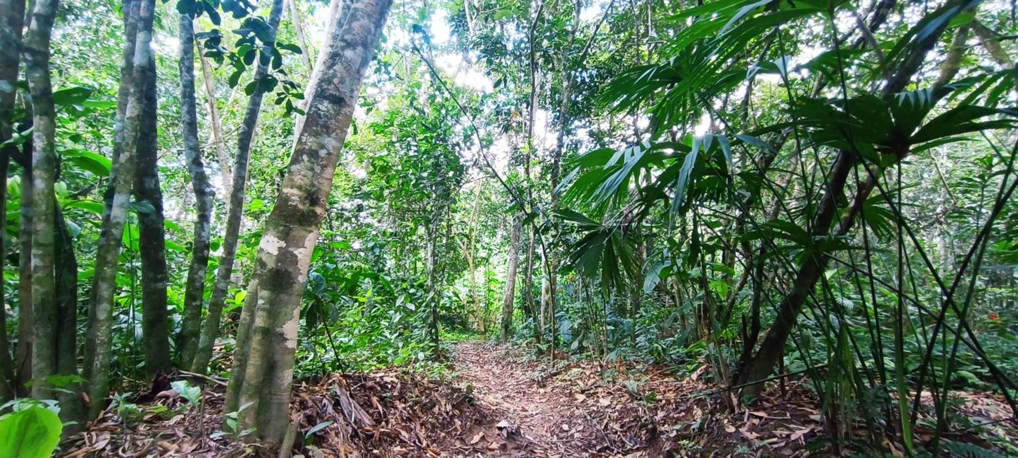 Hotel Ecologico Makalombia La Macarena Exterior foto